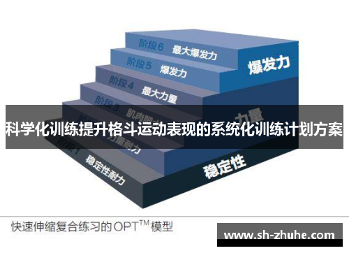 科学化训练提升格斗运动表现的系统化训练计划方案