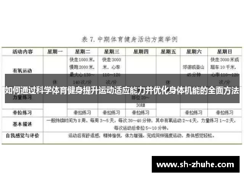 如何通过科学体育健身提升运动适应能力并优化身体机能的全面方法