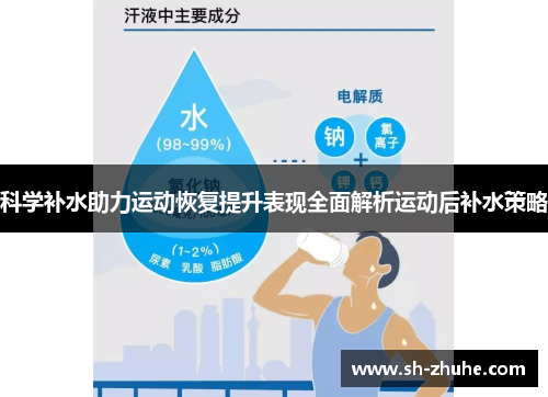 科学补水助力运动恢复提升表现全面解析运动后补水策略