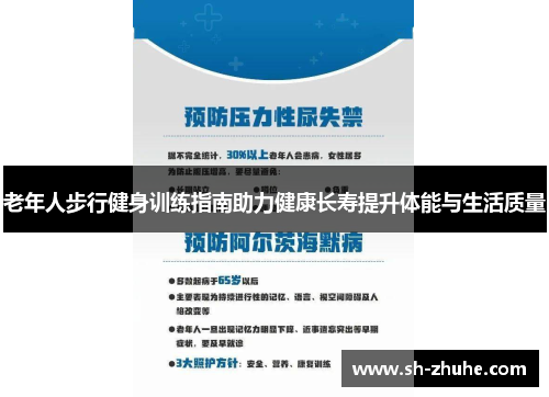 老年人步行健身训练指南助力健康长寿提升体能与生活质量