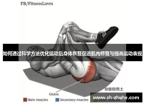 如何通过科学方法优化运动后身体恢复促进肌肉修复与提高运动表现