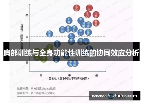 肩部训练与全身功能性训练的协同效应分析