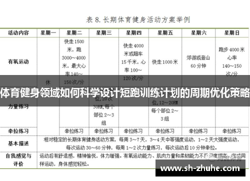 体育健身领域如何科学设计短跑训练计划的周期优化策略