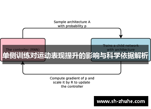 单侧训练对运动表现提升的影响与科学依据解析